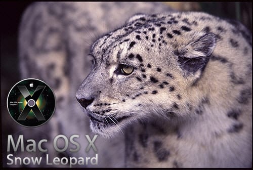 Snowleopard