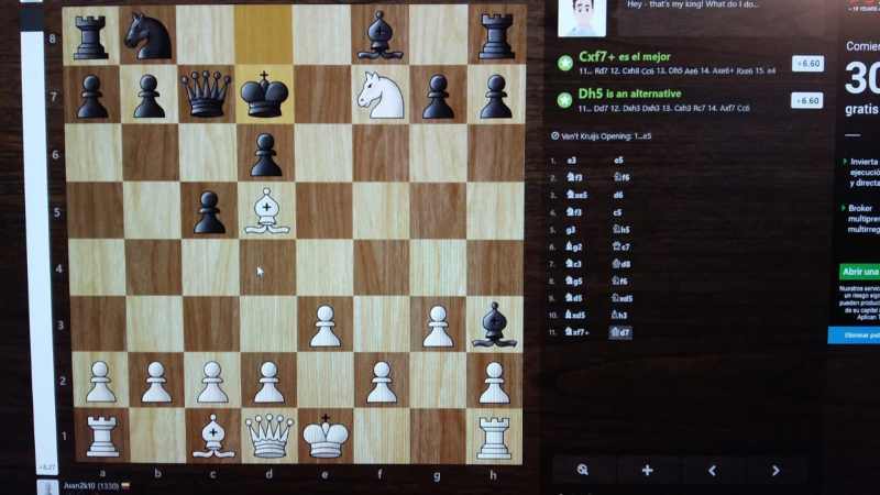 La afición del ajedrez. Imagen 3