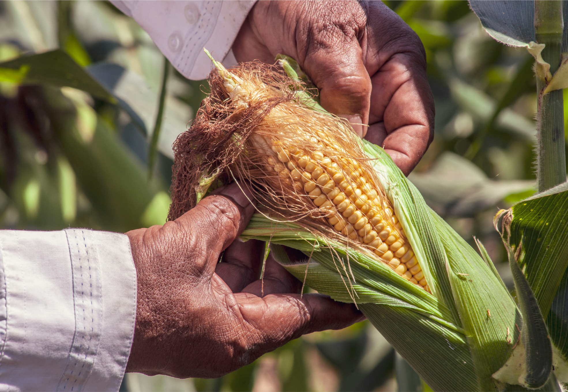 IMAGEN DESTACADA tania 4