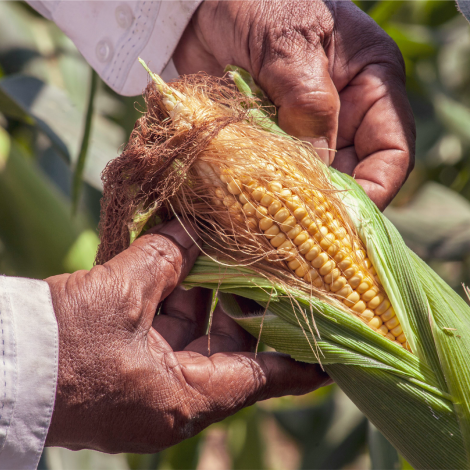 IMAGEN DESTACADA tania 4